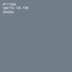 #717E8A - Raven Color Image