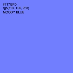 #717EFD - Moody Blue Color Image