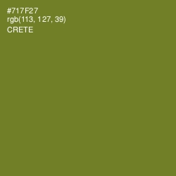 #717F27 - Crete Color Image