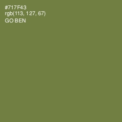 #717F43 - Go Ben Color Image