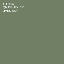 #717F65 - Limed Ash Color Image