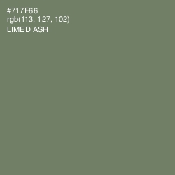 #717F66 - Limed Ash Color Image