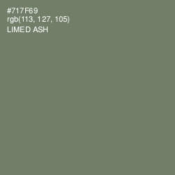 #717F69 - Limed Ash Color Image