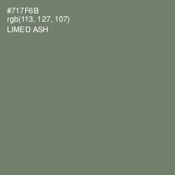 #717F6B - Limed Ash Color Image