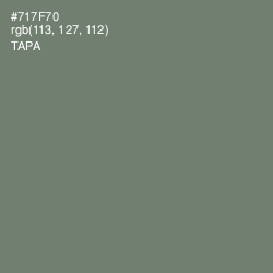 #717F70 - Tapa Color Image