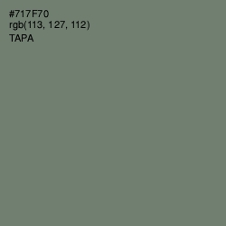 #717F70 - Tapa Color Image