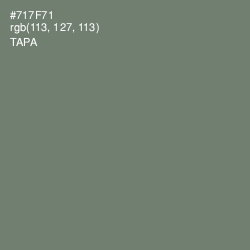 #717F71 - Tapa Color Image