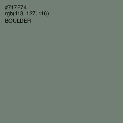 #717F74 - Boulder Color Image