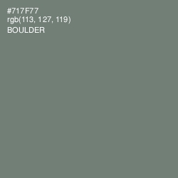 #717F77 - Boulder Color Image