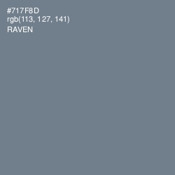 #717F8D - Raven Color Image
