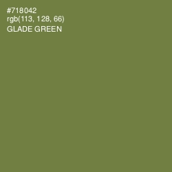 #718042 - Glade Green Color Image