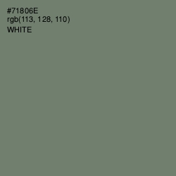 #71806E - Camouflage Green Color Image