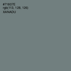 #71807E - Xanadu Color Image