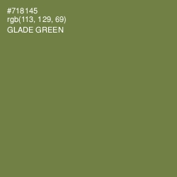 #718145 - Glade Green Color Image