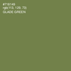 #718149 - Glade Green Color Image