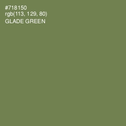 #718150 - Glade Green Color Image