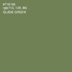 #718156 - Glade Green Color Image