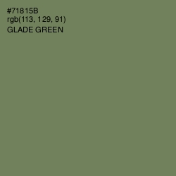 #71815B - Glade Green Color Image