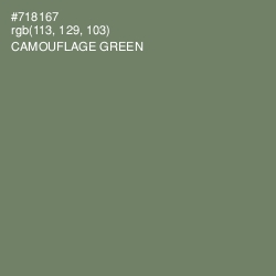 #718167 - Camouflage Green Color Image