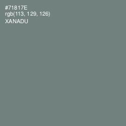 #71817E - Xanadu Color Image