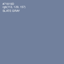 #71819D - Slate Gray Color Image