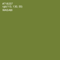 #718237 - Wasabi Color Image