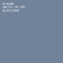 #71829B - Slate Gray Color Image