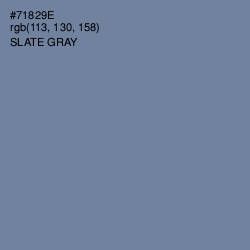 #71829E - Slate Gray Color Image