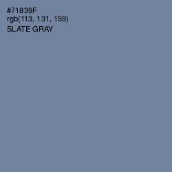 #71839F - Slate Gray Color Image