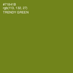 #71841B - Trendy Green Color Image