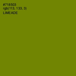 #718503 - Limeade Color Image