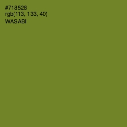 #718528 - Wasabi Color Image