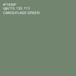 #71856F - Camouflage Green Color Image