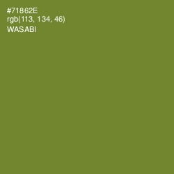 #71862E - Wasabi Color Image
