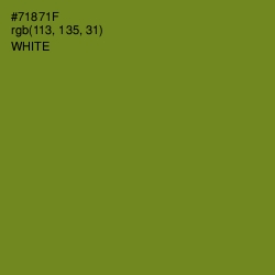 #71871F - Trendy Green Color Image