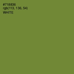 #718836 - Wasabi Color Image