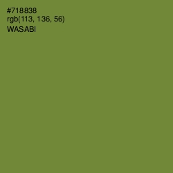 #718838 - Wasabi Color Image