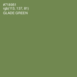 #718951 - Glade Green Color Image