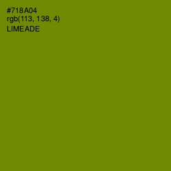 #718A04 - Limeade Color Image