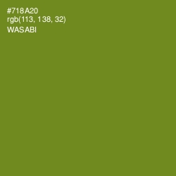 #718A20 - Wasabi Color Image