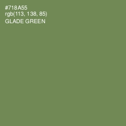 #718A55 - Glade Green Color Image