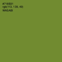 #718B31 - Wasabi Color Image