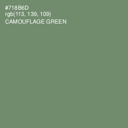 #718B6D - Camouflage Green Color Image