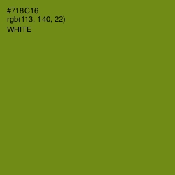 #718C16 - Trendy Green Color Image