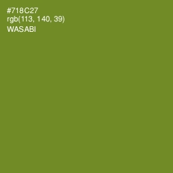 #718C27 - Wasabi Color Image