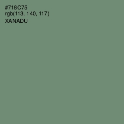 #718C75 - Xanadu Color Image