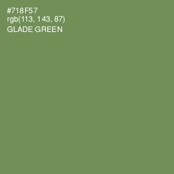 #718F57 - Glade Green Color Image