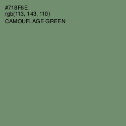 #718F6E - Camouflage Green Color Image