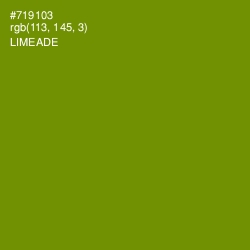 #719103 - Limeade Color Image