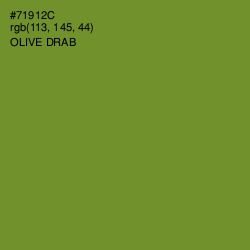 #71912C - Olive Drab Color Image